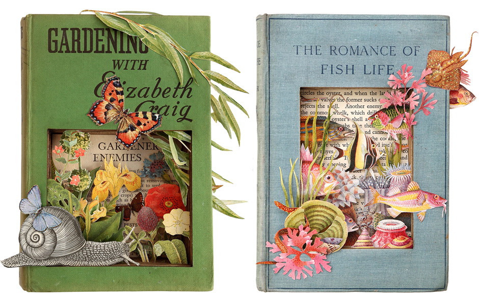 'Cassell's Illustrated History of England II' and 'The Romance of Fish Life'